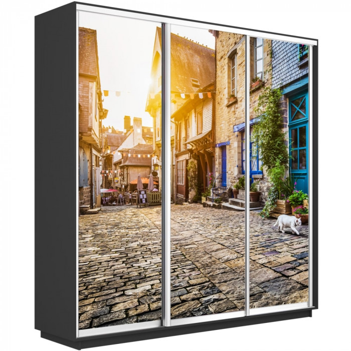 Шкаф-купе Трио Фото Экспресс 1800х2400 Е1