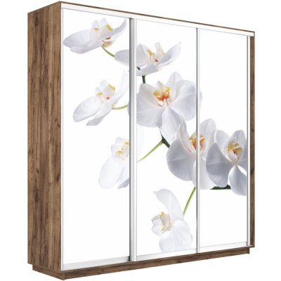 Шкаф-купе Трио Фото Экспресс 1800х2400 Е1