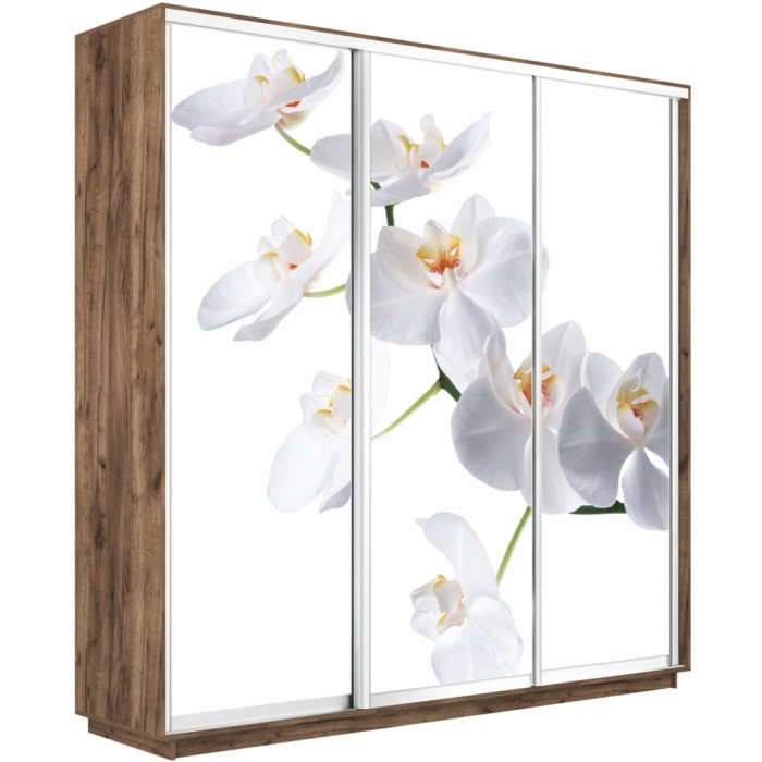 Шкаф-купе Трио Фото Экспресс 1800х2400 Е1