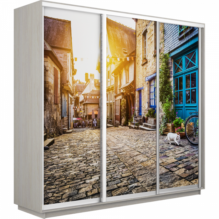 Шкаф-купе Трио Фото Экспресс 2100х2400 Е1