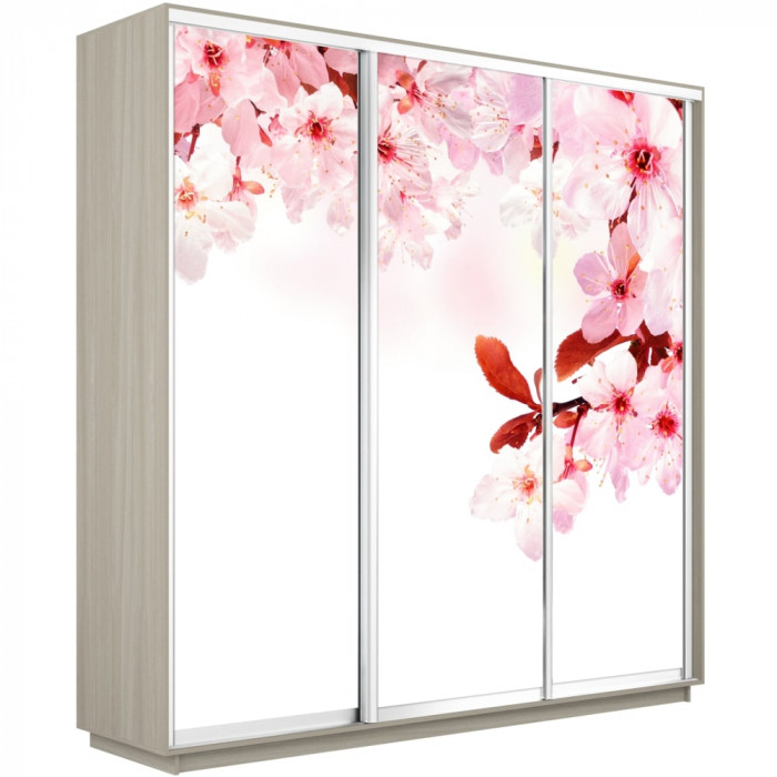 Шкаф-купе Трио Фото Экспресс 2100х2400 Е1