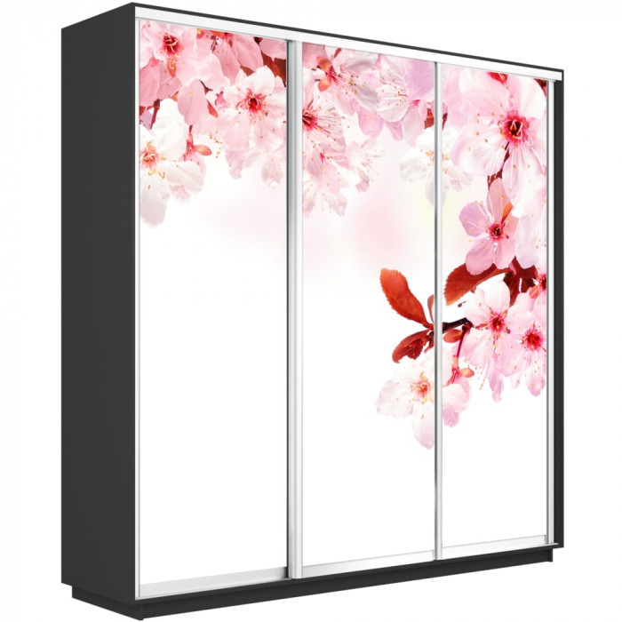 Шкаф-купе Трио Фото Экспресс 2100х2400 Е1