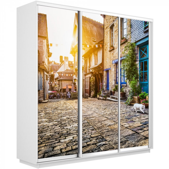 Шкаф-купе Трио Фото Экспресс 2400х2400 Е1