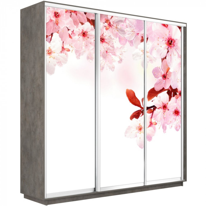 Шкаф-купе Трио Фото Экспресс 2400х2400 Е1