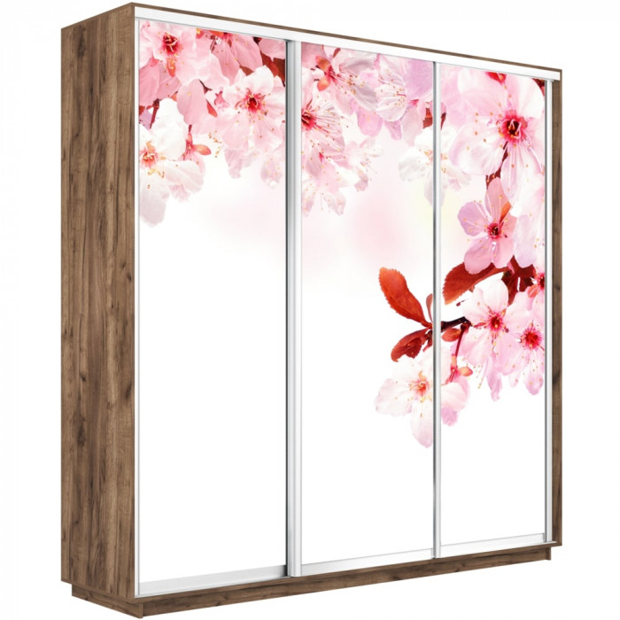 Шкаф-купе Трио Фото Экспресс 2400х2400 Е1