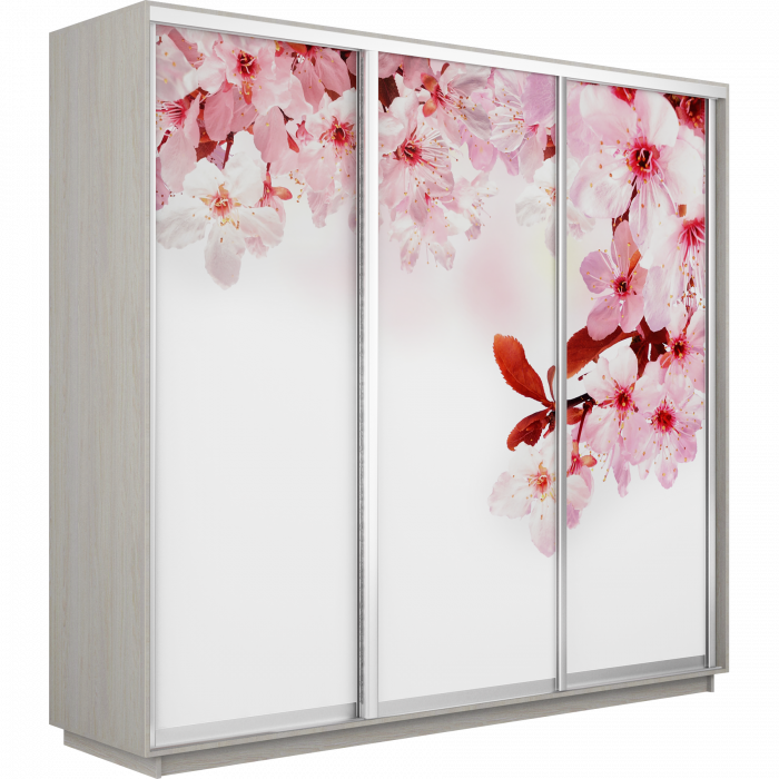 Шкаф-купе Трио Фото Экспресс 2400х2400 Е1