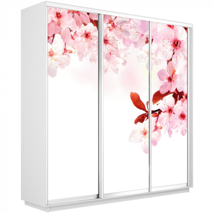 Шкаф-купе Трио Фото Экспресс 2400х2400 Е1