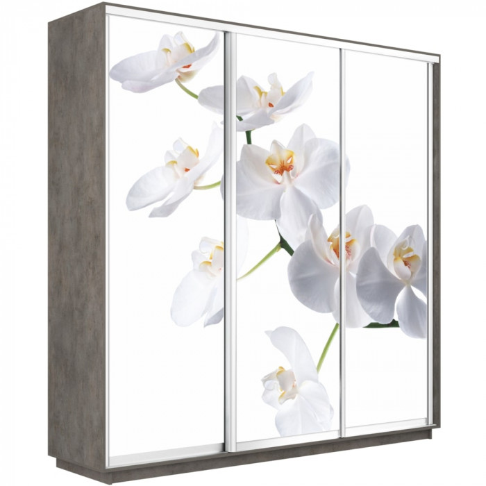 Шкаф-купе Трио Фото Экспресс 2400х2400 Е1