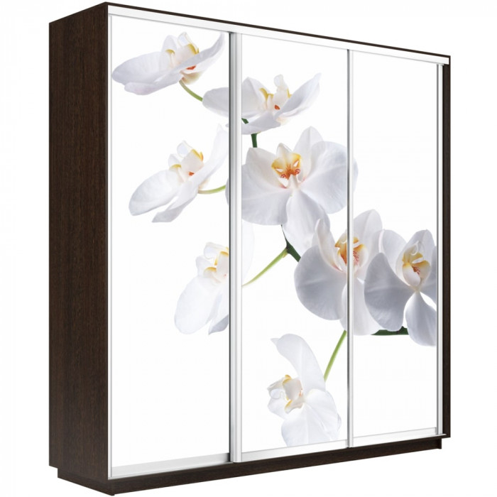 Шкаф-купе Трио Фото Экспресс 2400х2400 Е1