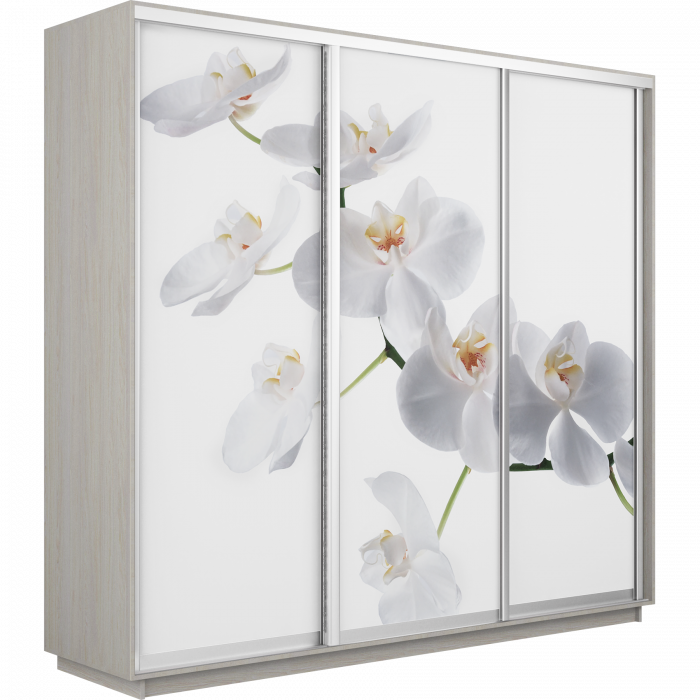 Шкаф-купе Трио Фото Экспресс 2400х2400 Е1