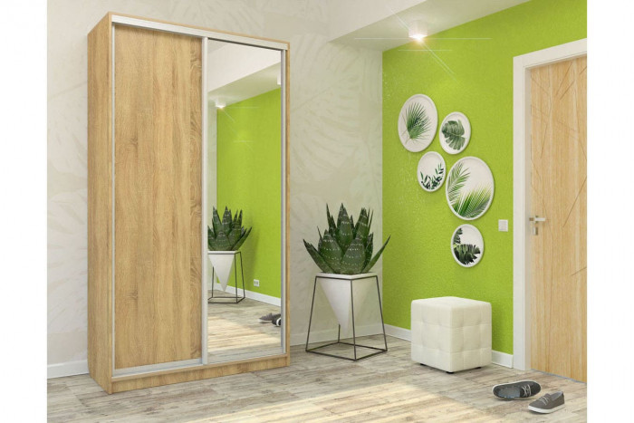 Шкаф-купе София 1100 Лофт