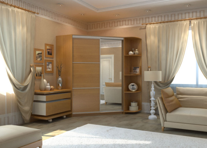 Угловой шкаф-купе Анна с угловым элементом