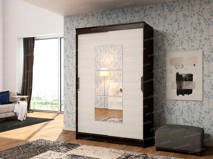Шкаф-купе Элегант-1