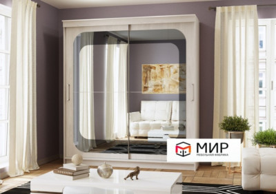 Шкаф-купе Танго-3