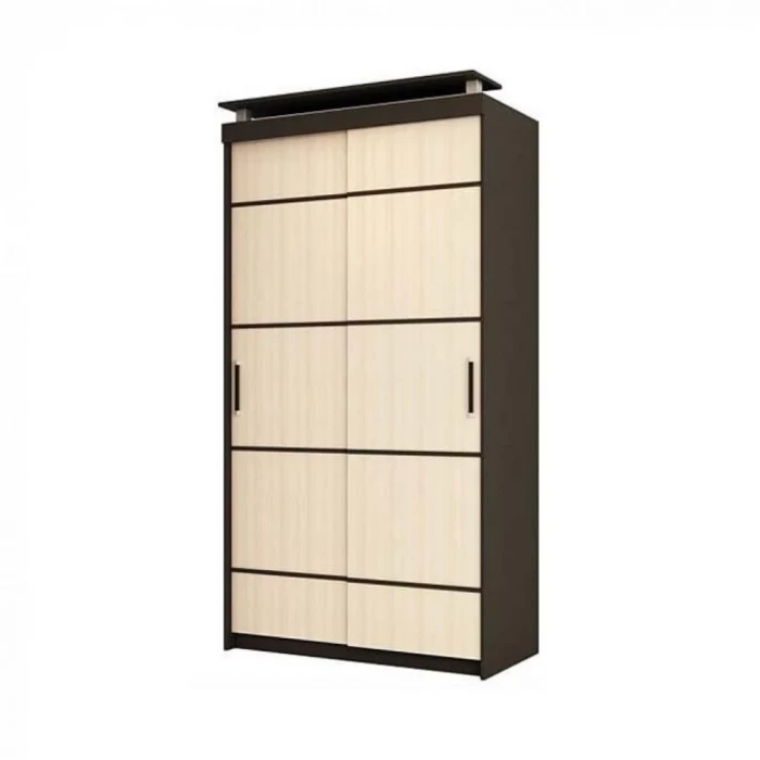 Шкаф-купе 2-х створчатый без зеркала Фудзи