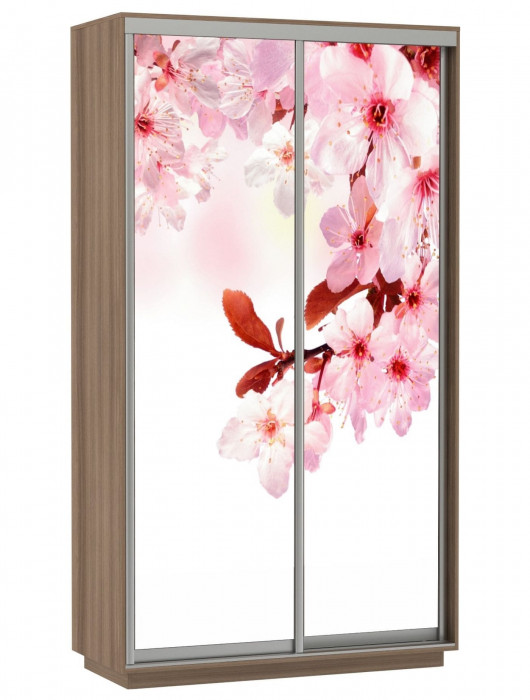 Шкаф-купе Хит Фото Экспресс Е1