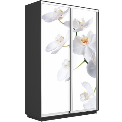 Шкаф-купе Хит Фото Экспресс Е1