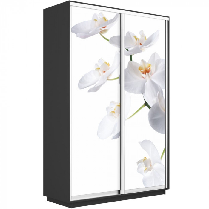 Шкаф-купе Хит Фото Экспресс Е1