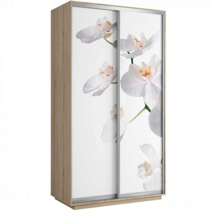 Шкаф-купе Хит Фото Экспресс Е1