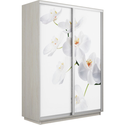 Шкаф-купе Дуо Фото Экспресс 1200 Е1