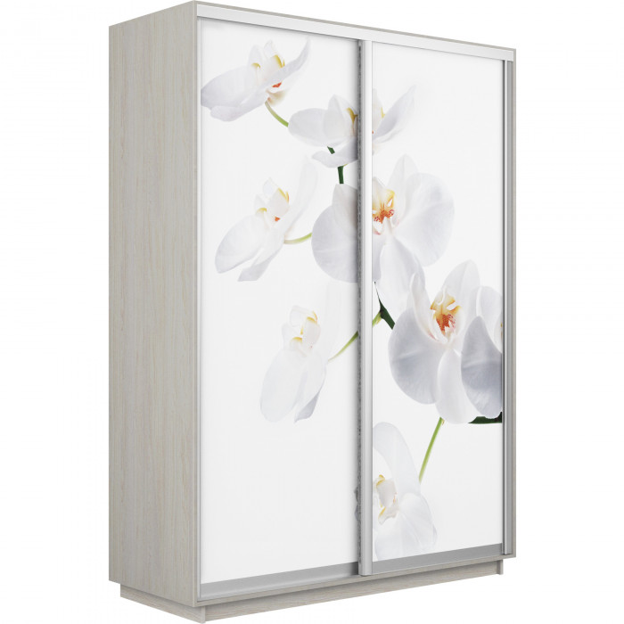 Шкаф-купе Дуо Фото Экспресс 1200 Е1