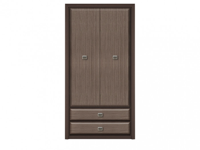 Шкаф Коен REG2D2S