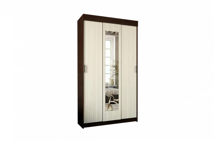 Шкаф-купе Эко