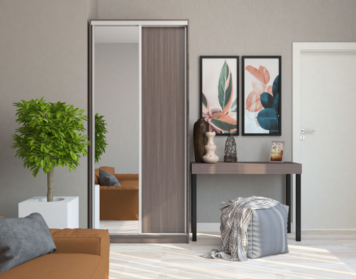 Шкаф-купе 450 Инга