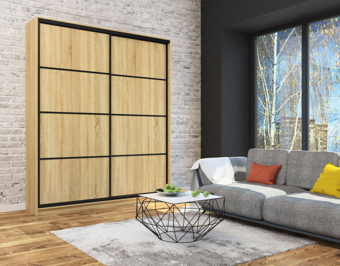 Шкаф-купе Лофт 2000 фасад ЛДСП 3г