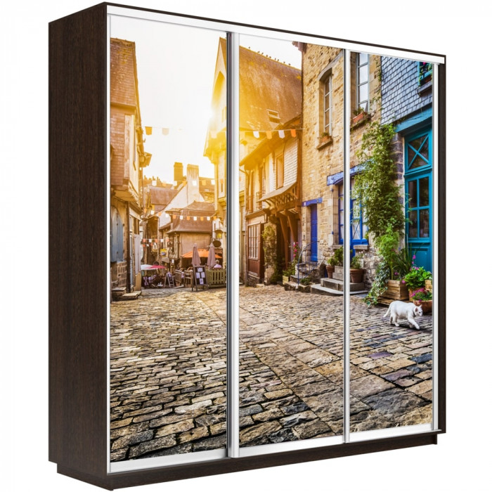 Шкаф-купе Трио Фото Экспресс 2400 Е1