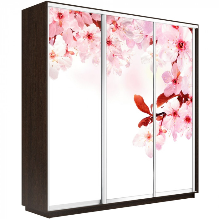 Шкаф-купе Трио Фото Экспресс 2400 Е1