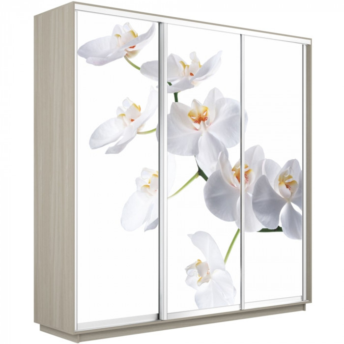 Шкаф-купе Трио Фото Экспресс 2400 Е1