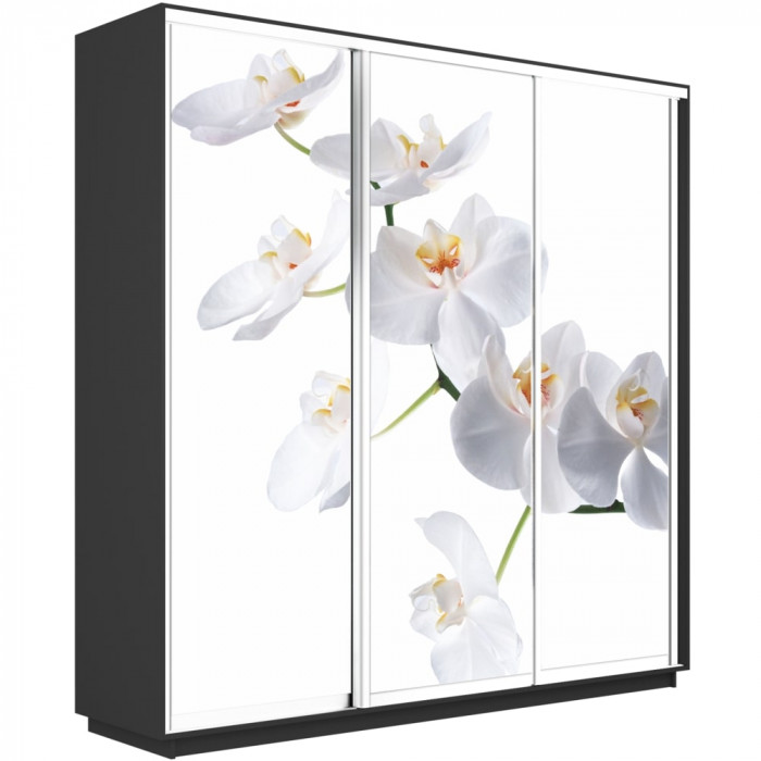 Шкаф-купе Трио Фото Экспресс 2400 Е1