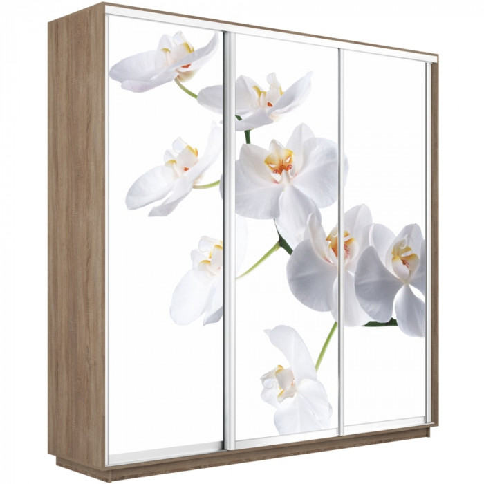 Шкаф-купе Трио Фото Экспресс 2400 Е1