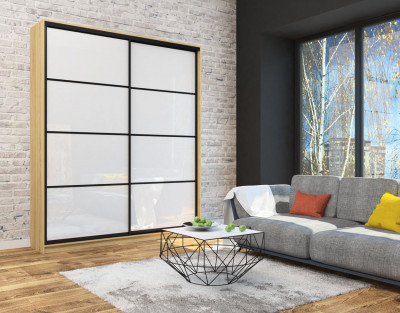 Шкаф-купе Лофт 2000 фасад МДФ белый глянец 3г