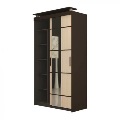 Шкаф-купе 2-х створчатый с зеркалом Фудзи