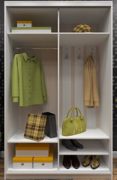 Шкаф-купе Ирина 1100