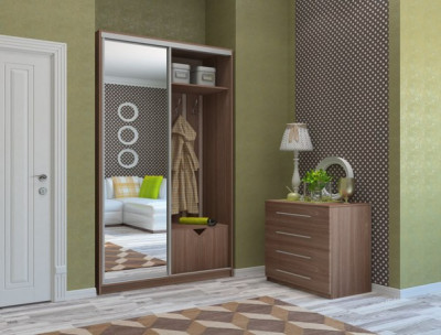 Шкаф-купе Ирина 1500