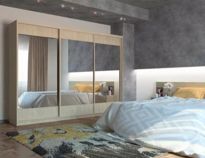 Шкаф-купе Татьяна Лофт