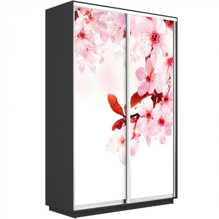 Шкаф-купе Дуо Фото Экспресс 1200х2400 Е1