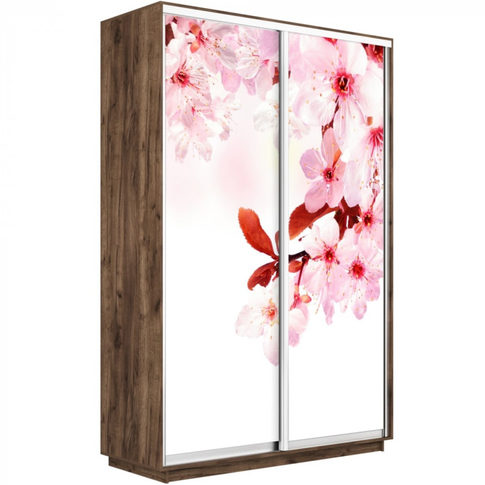 Шкаф-купе Дуо Фото Экспресс 1600х2400 Е1