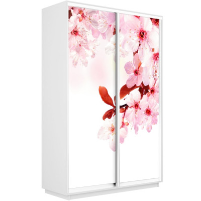 Шкаф-купе Дуо Фото Экспресс 1600х2400 Е1