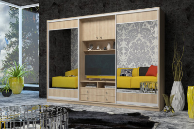 Шкаф-купе Валерия 3000 Лофт