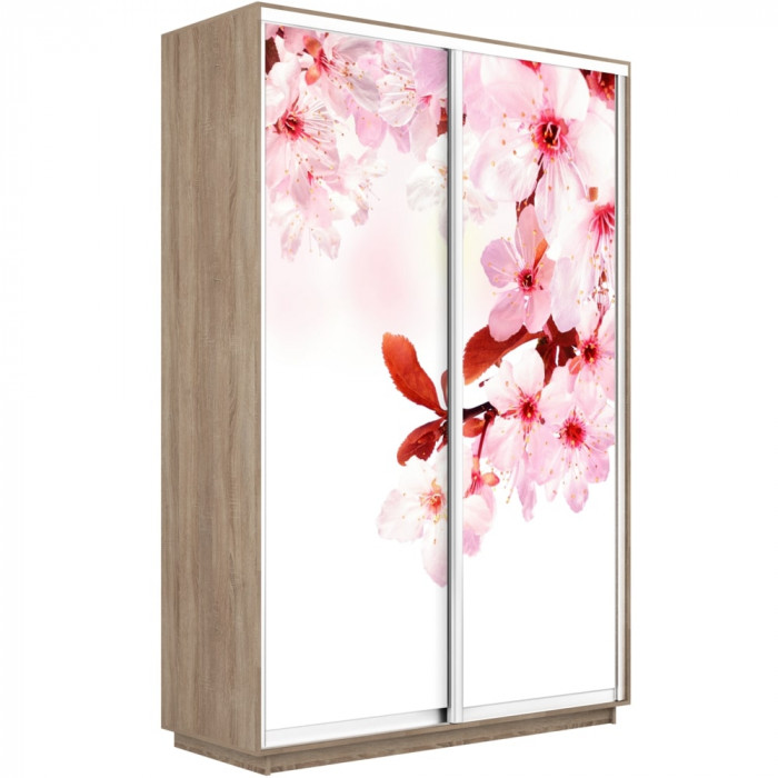 Шкаф-купе Дуо Фото Экспресс 1400х2400 Е1